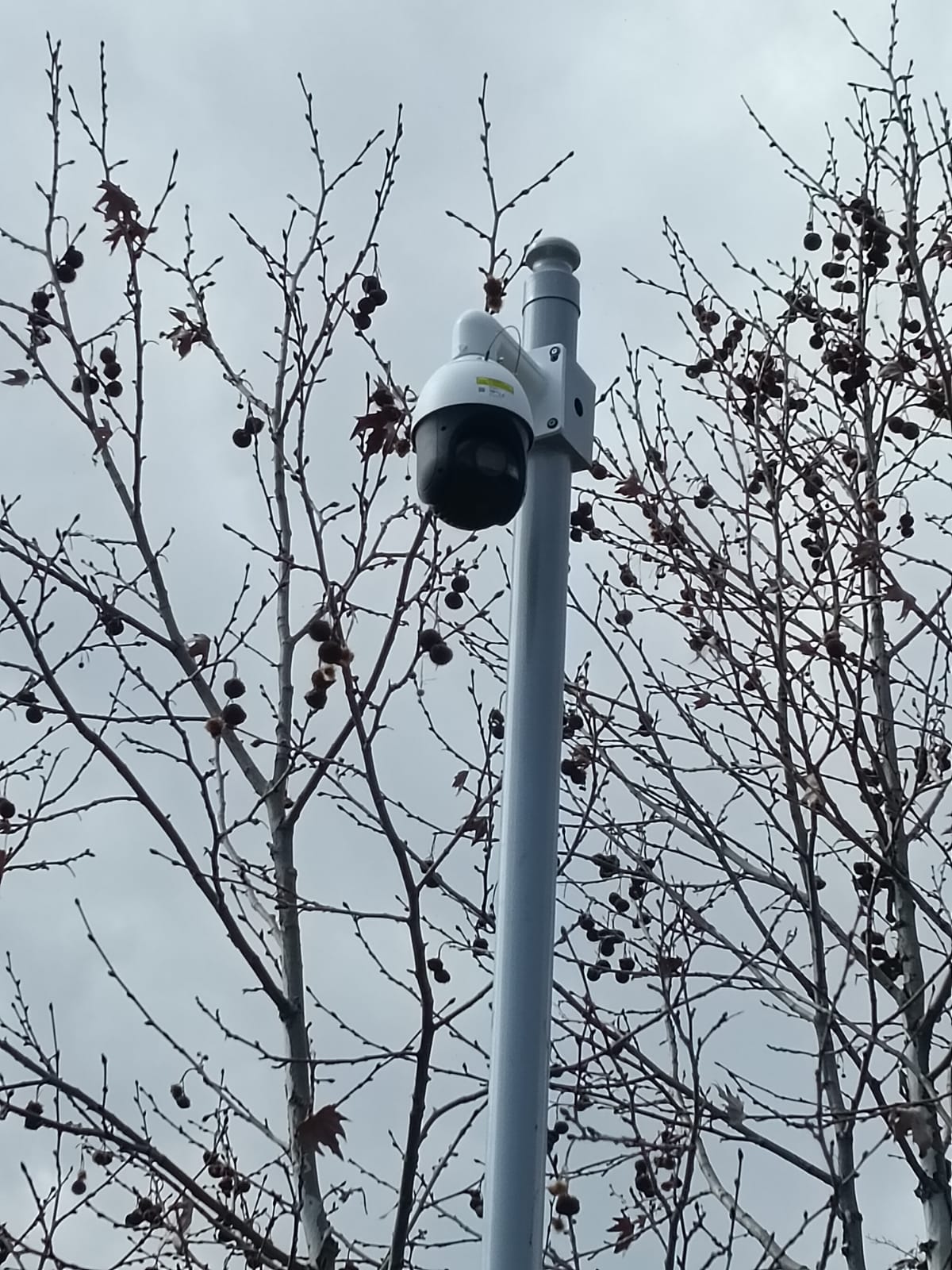 SpeedDome İp Kamera