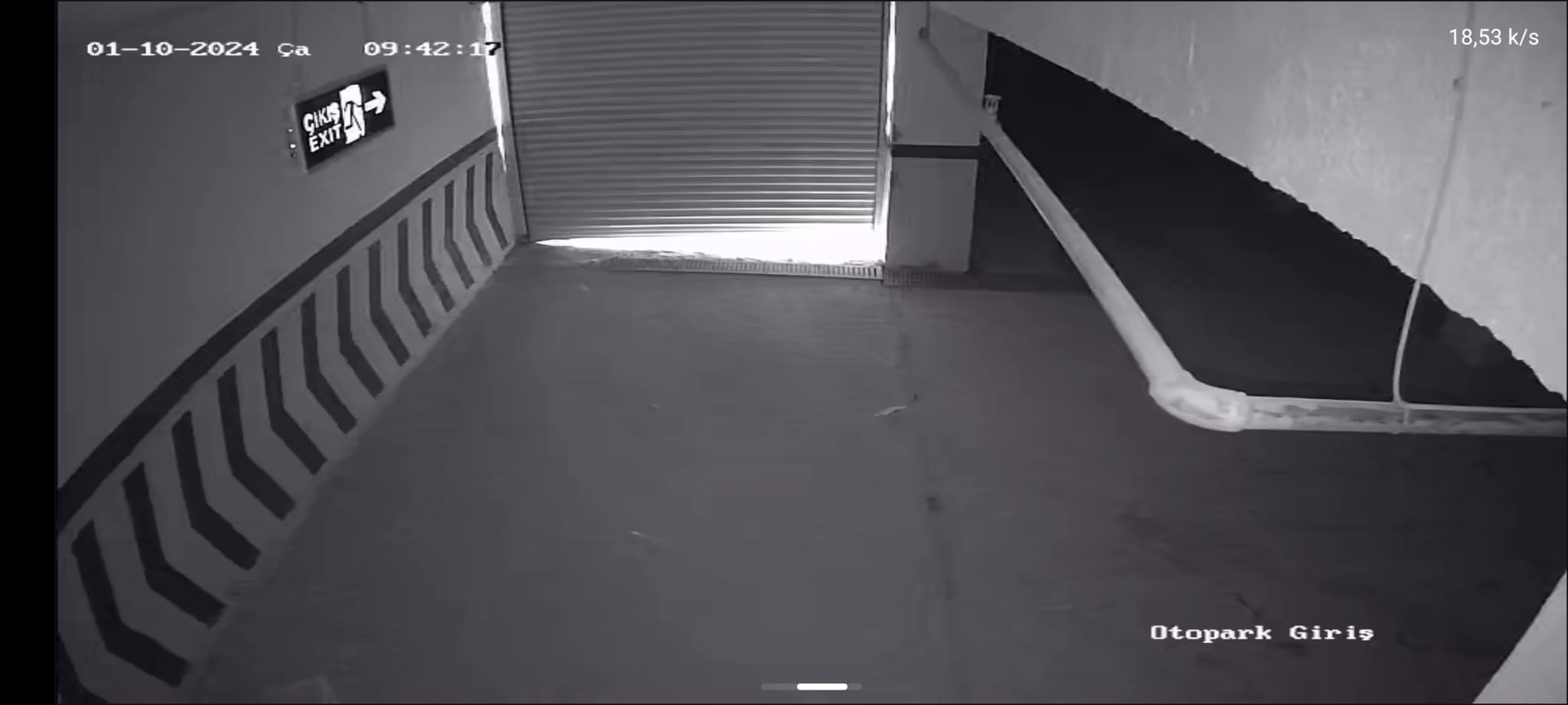 Analog Kamera Sistemleri